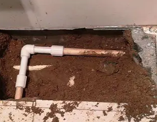 龙港测漏水哪家好