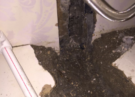 龙港卫生间测漏水哪家好