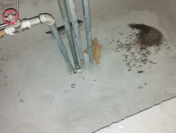 龙港卫生间测漏水价格明细